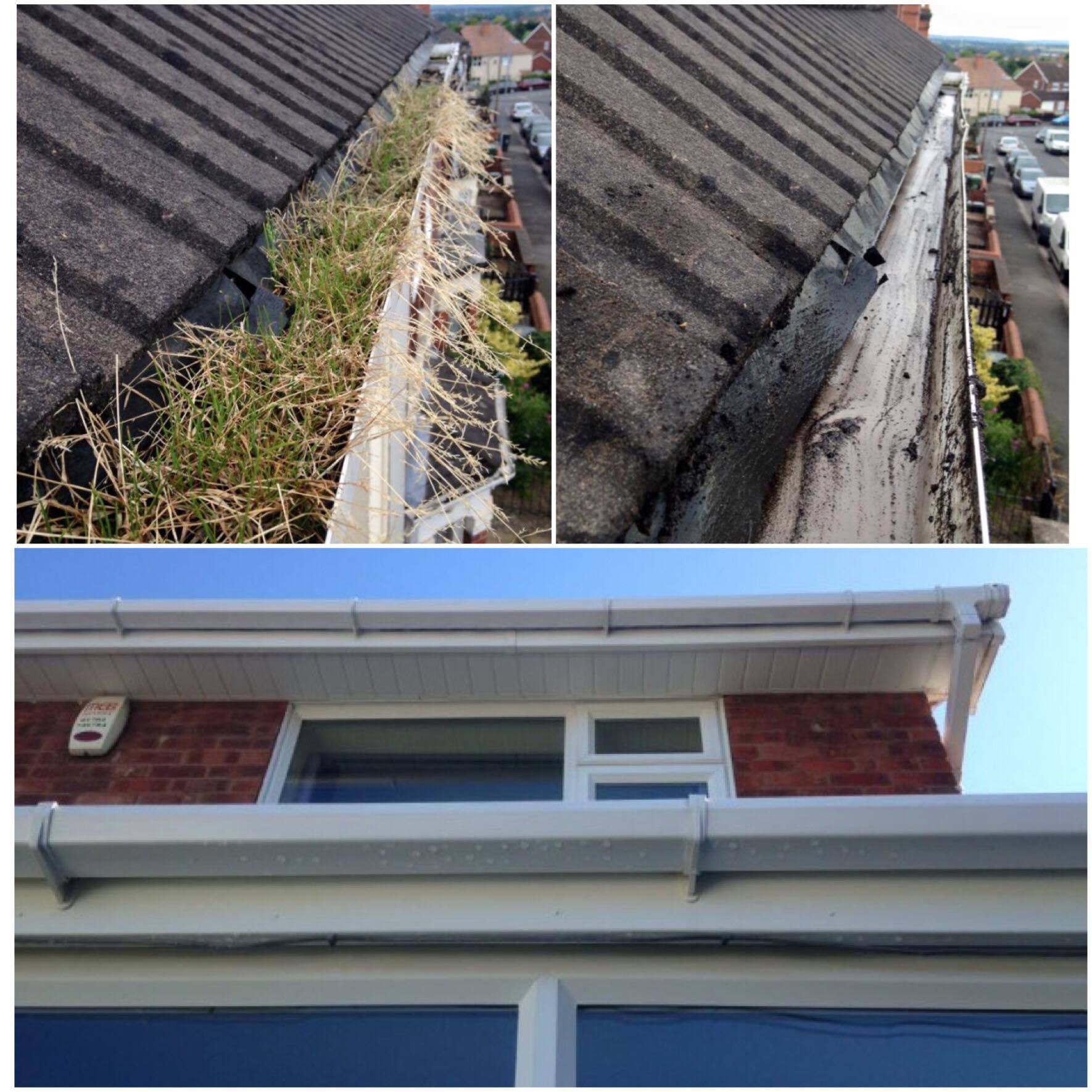 Domestic Gutter Cleaning